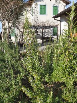 Kosovelova domačija v Tomaju2, arhiv Kosovelove knjižnice Sežana